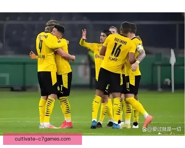 德甲争冠形势突变拜仁多特上演巅峰对决前瞻新赛季风云再起豪门角力升级