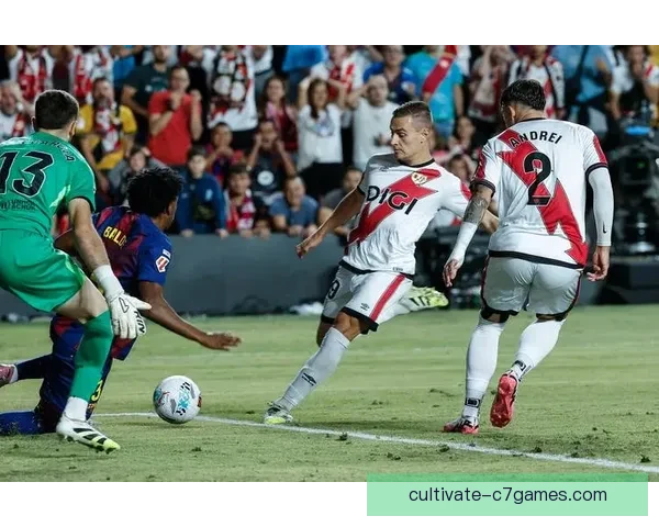 巴列卡诺俱乐部新赛季引援动向与战术布局全面解析球迷关注焦点 巴列卡诺俱乐部新赛季引援动向与战术布局全面解析球迷关注焦点