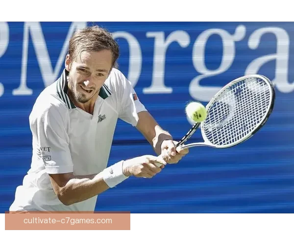 澳网激战再掀高潮新星崛起老将坚守荣耀之路引全球瞩目与梦想争锋