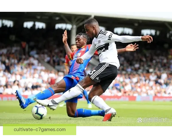 富勒姆足球俱乐部的辉煌历程与未来发展展望