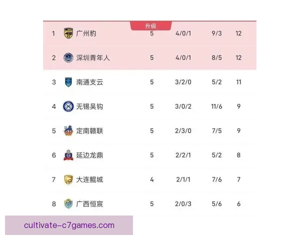 广东超级联赛最新积分榜揭晓 各队排名变化引发关注
