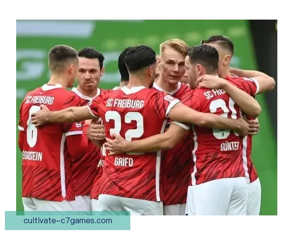 弗赖堡足球俱乐部的崛起与发展历程分析